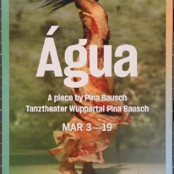 Tanztheater Wuppertal Pina Bausch