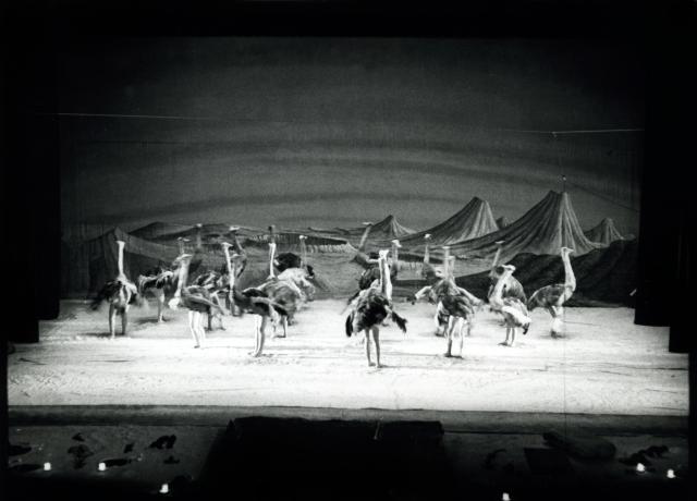 [Scene from the Robert Wilson production "The Life and Times of Joseph Stalin" during BAM Fall Series, 1973]