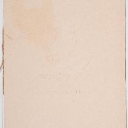 The Olive Mead Quartet