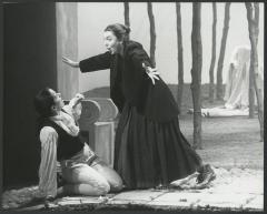 [Scene from the Théâtre Royal de la Monnaie production of "La Finta Giardiniera" during BAM Spring Series, 1990]