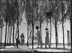 [Scene from the Théâtre Royal de la Monnaie production "La Finta Giardiniera" during BAM Spring Series, 1990]