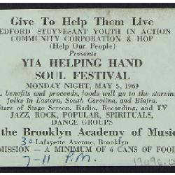 Bedford Stuyvesant Youth in Action Community Corporation