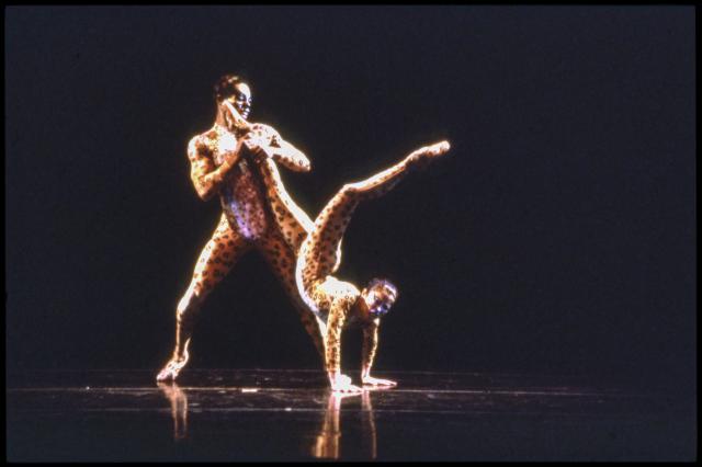 [Scene from "DanceAfrica 1998: African Roots in American Soil: Male Rites of Passage" during BAM Spring Series, 1998]