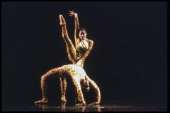 [Scene from "DanceAfrica 1998: African Roots in American Soil: Male Rites of Passage" during BAM Spring Series, 1998]