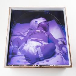 Theodore William Devitt Riederer