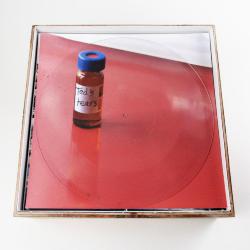 Dr. Loretta Fernandez